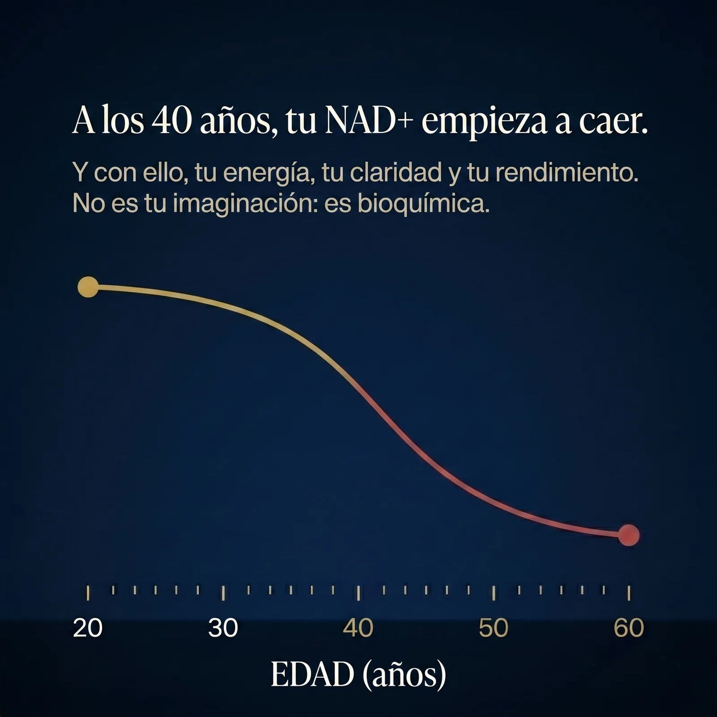 NAD+ Complejo Masculino