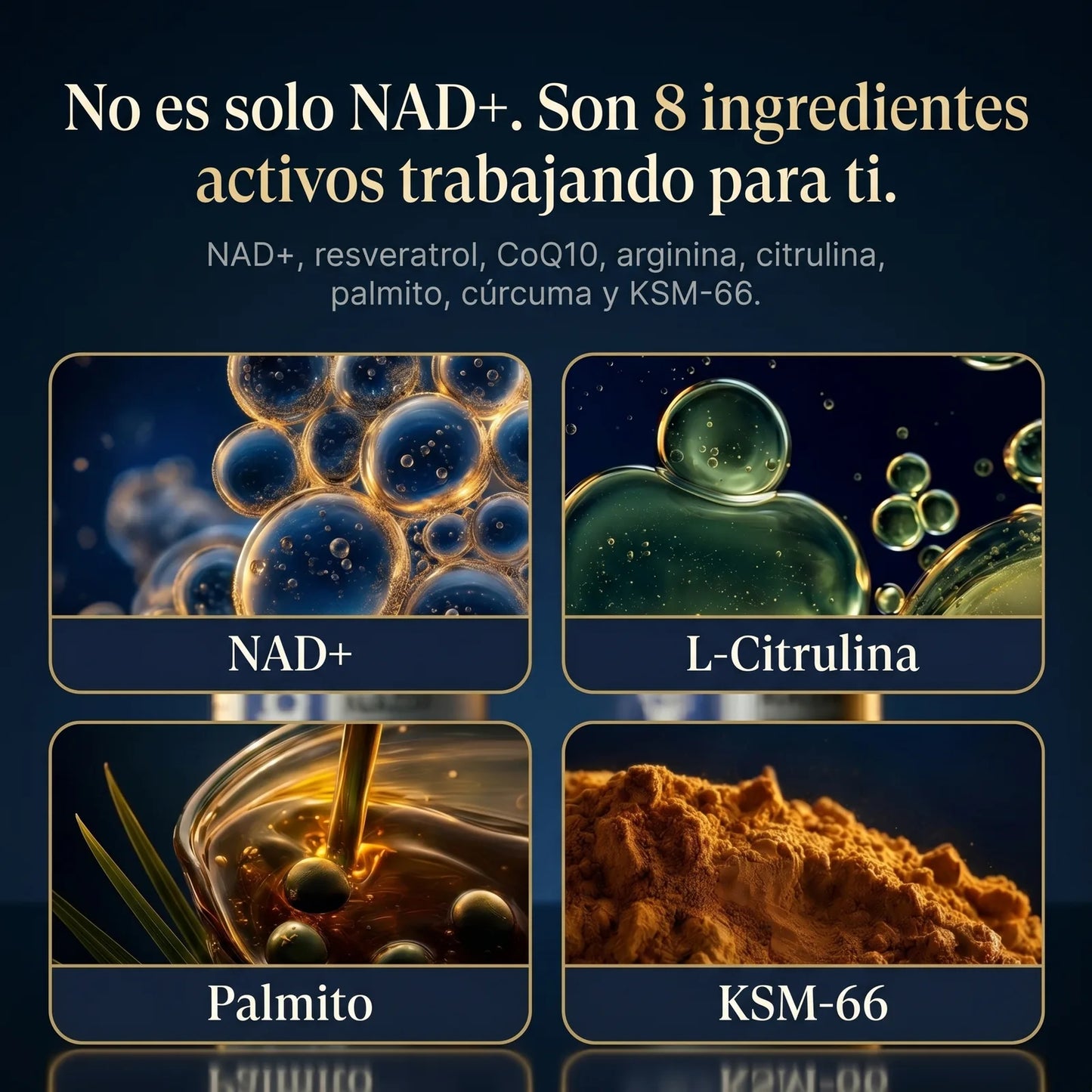 NAD+ Complejo Masculino