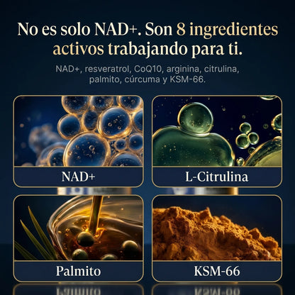 NAD+ Complejo Masculino